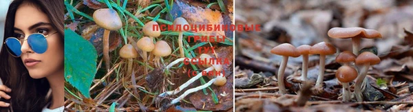 амф Коряжма