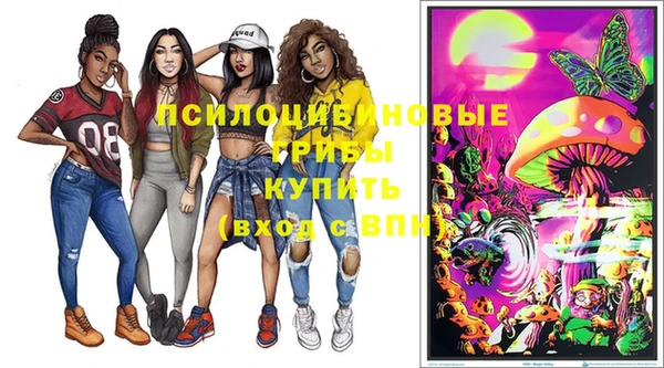 сатива Краснотурьинск