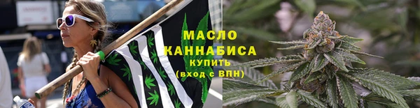 сатива Краснотурьинск