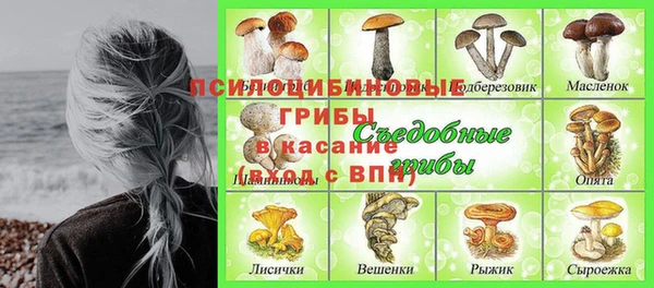 первитин Кукмор
