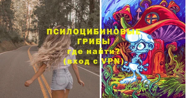 винт Козельск