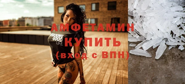 ГАЛЛЮЦИНОГЕННЫЕ ГРИБЫ Корсаков