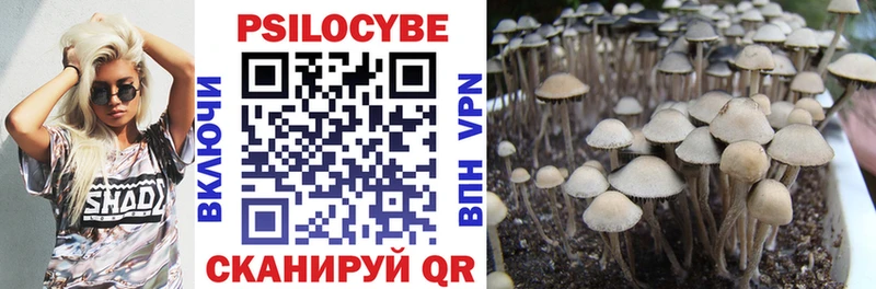 купить наркотики цена  кракен ONION  Галлюциногенные грибы MAGIC MUSHROOMS  Лосино-Петровский 